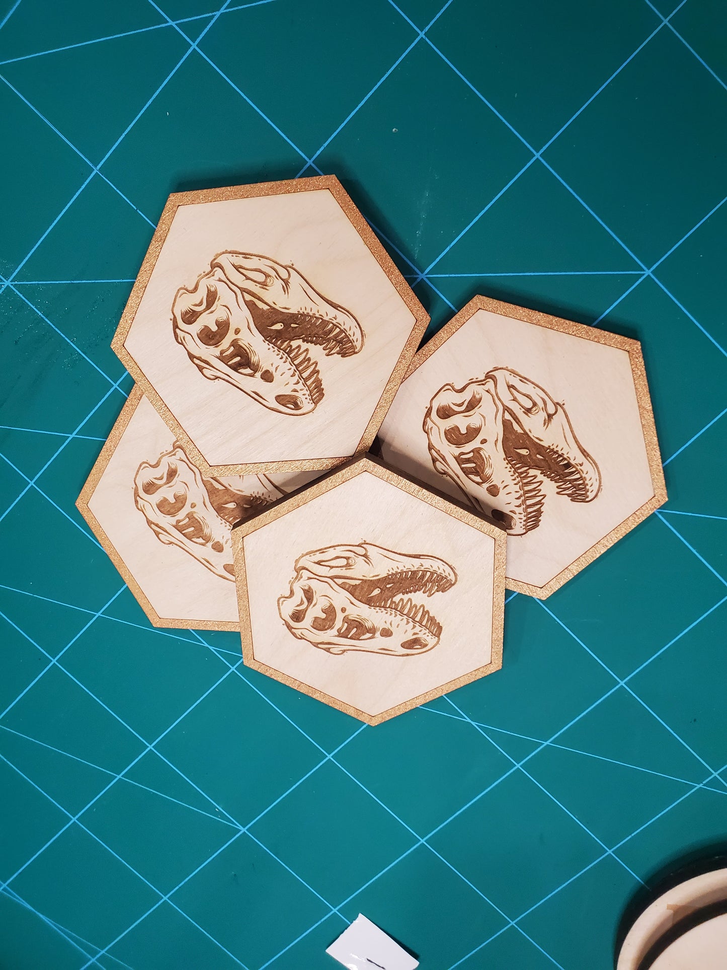 T-rex skull Dinosaur coasters