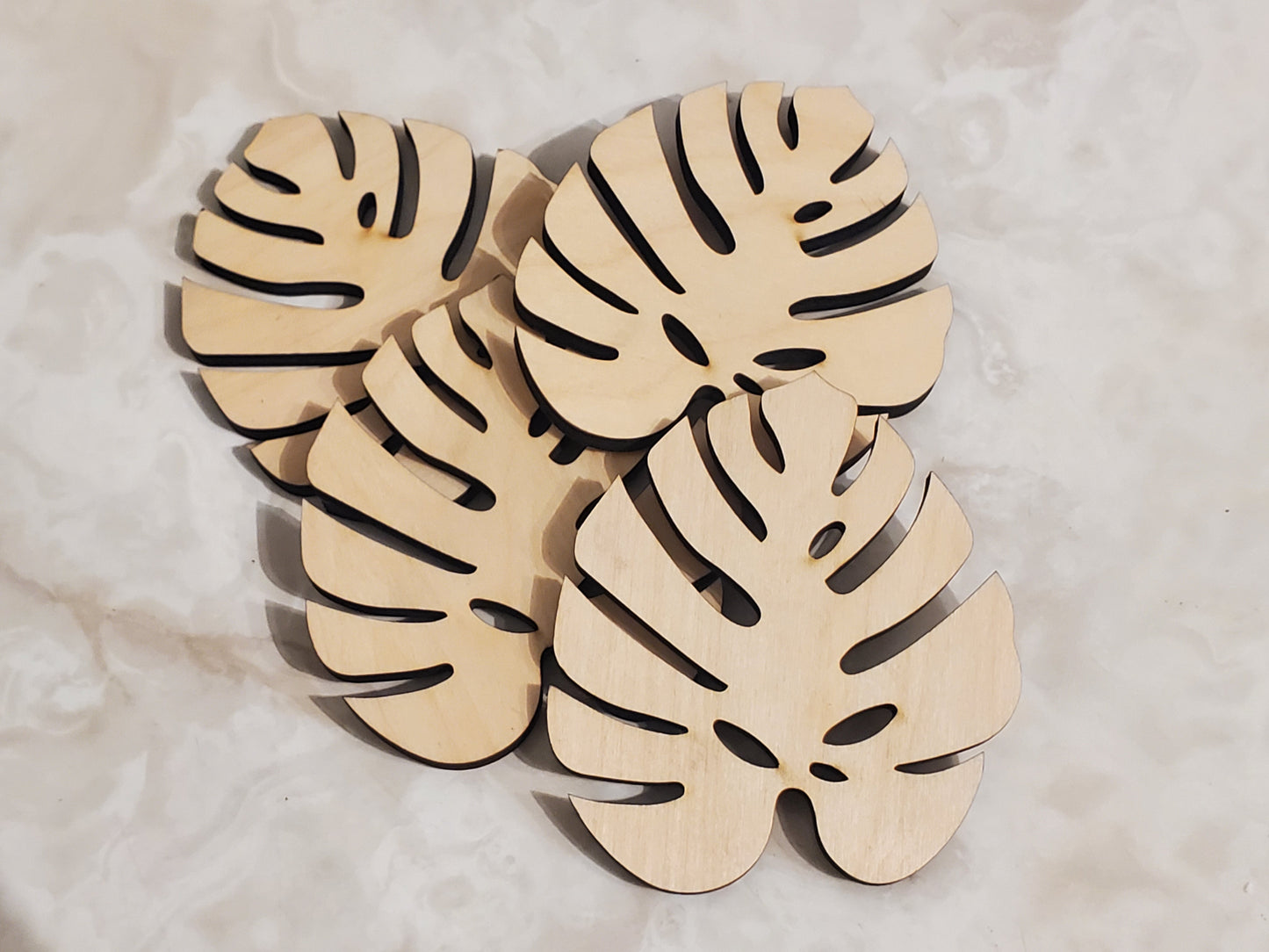 Monstera Leaf coasters