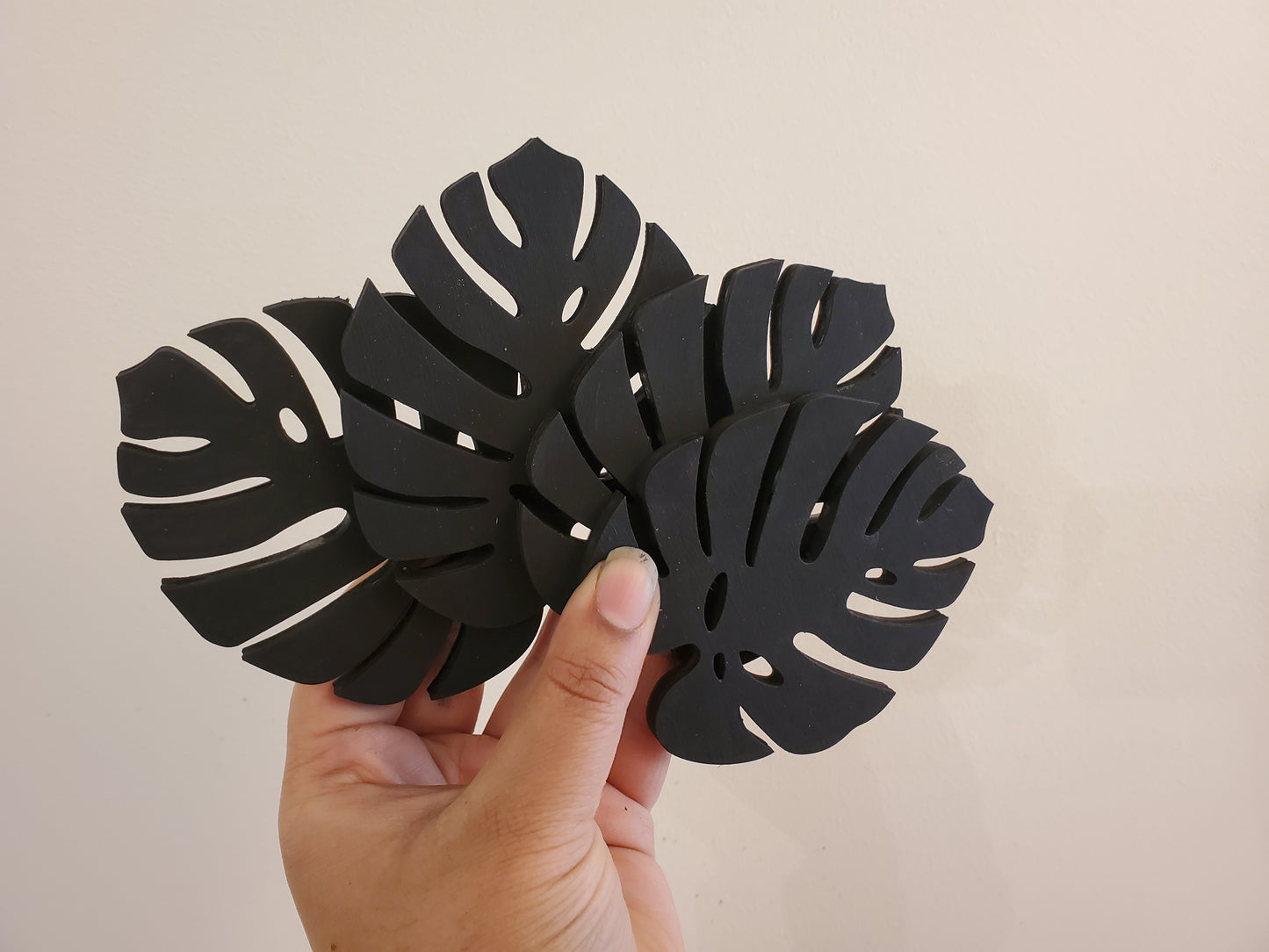 Monstera Leaf coasters