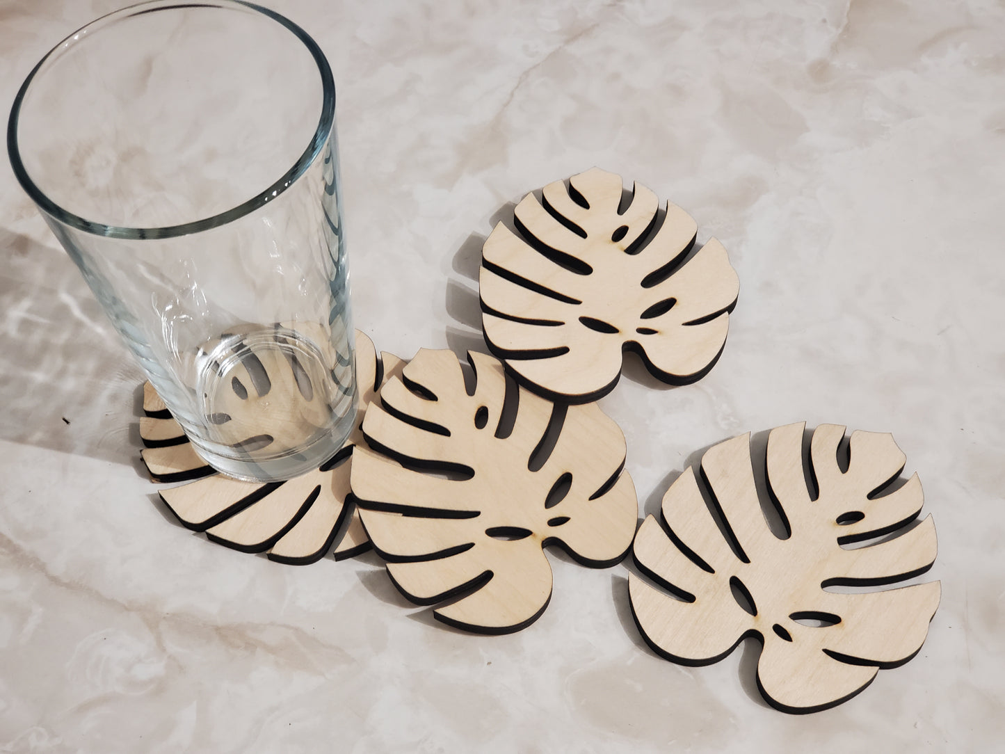 Monstera Leaf coasters