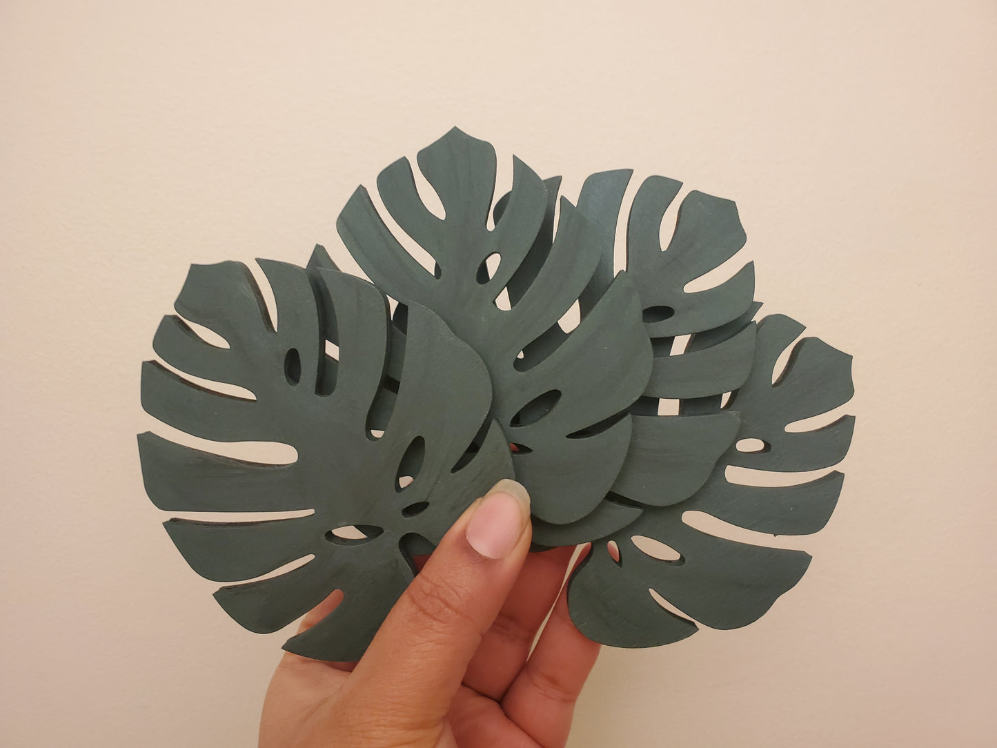 Monstera Leaf coasters