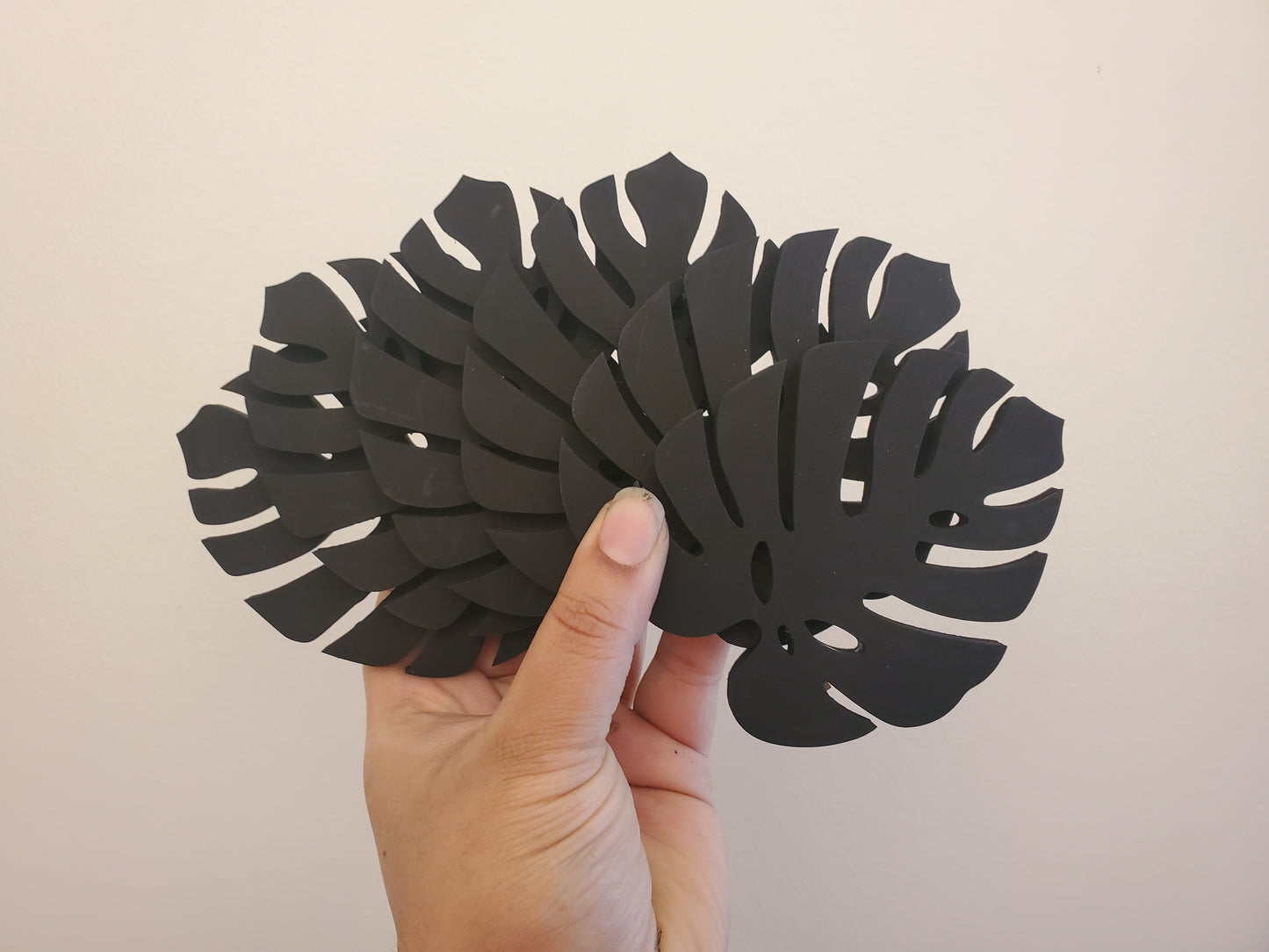 Monstera Leaf coasters