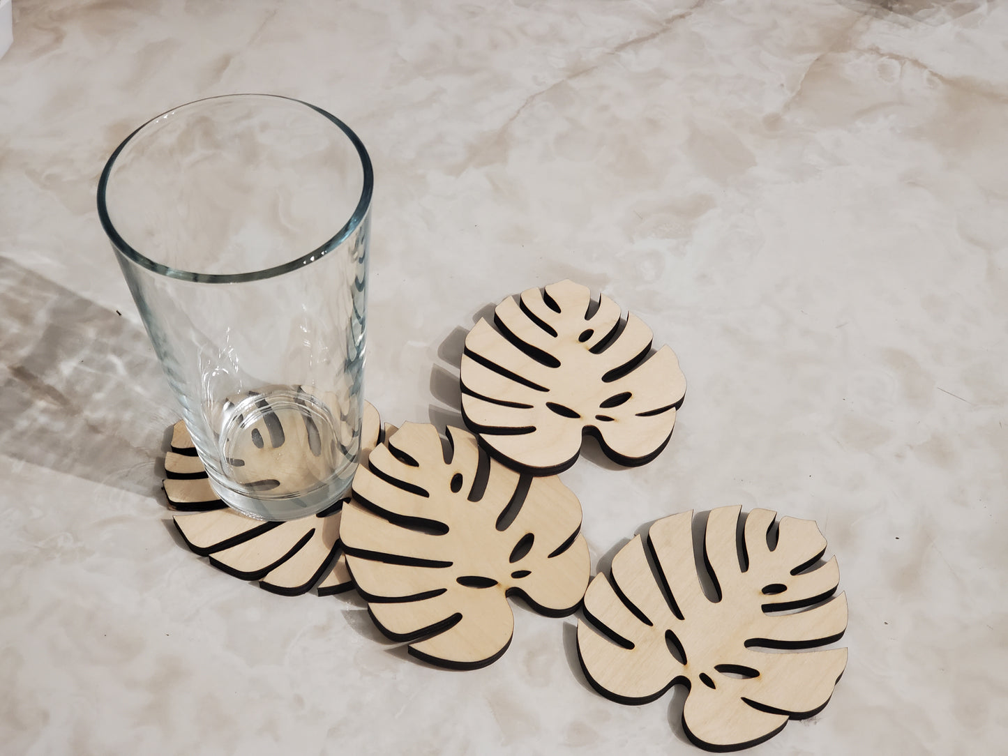 Monstera Leaf coasters