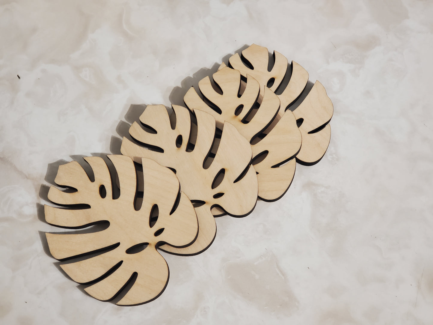 Monstera Leaf coasters