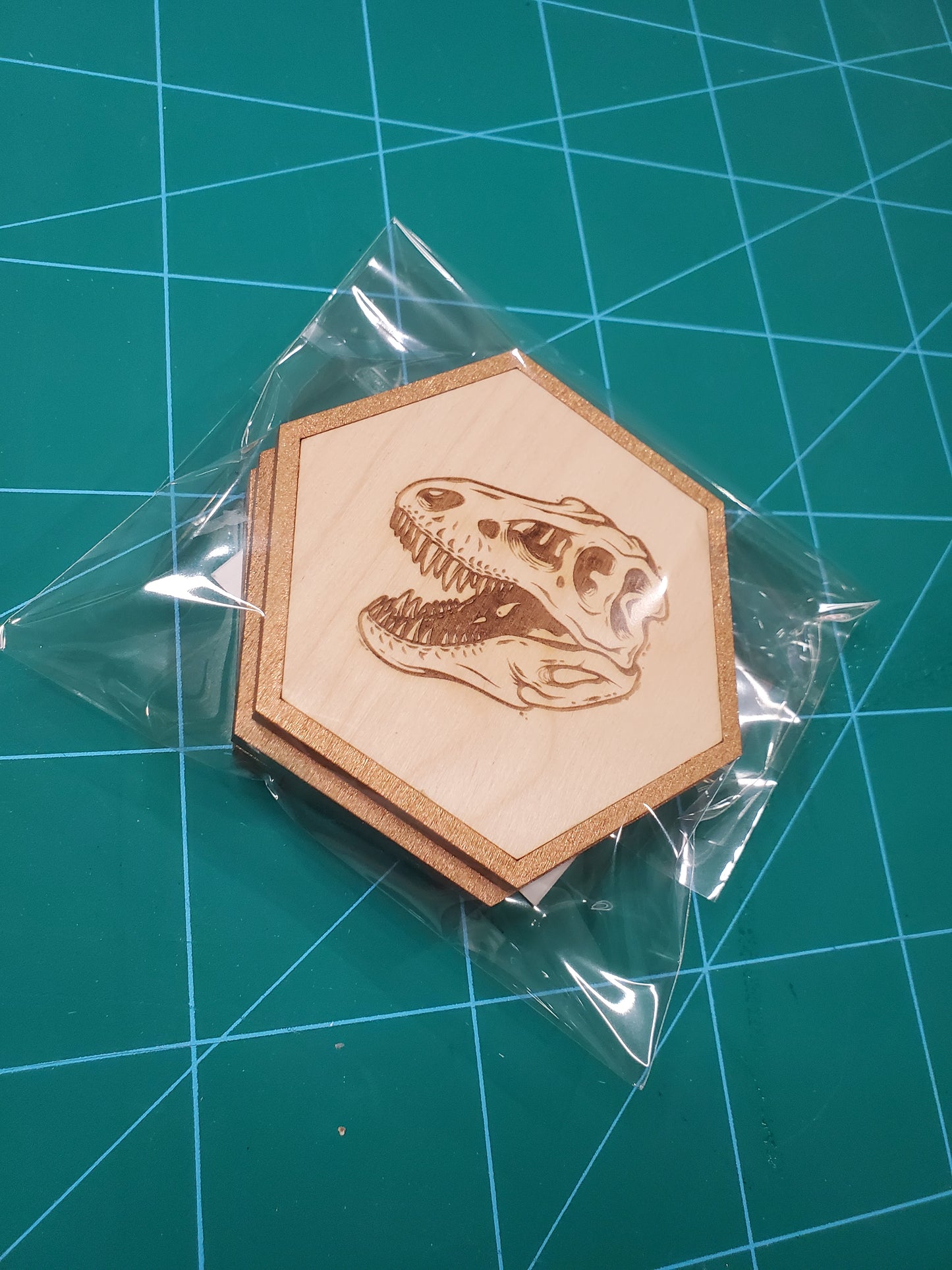 T-rex skull Dinosaur coasters