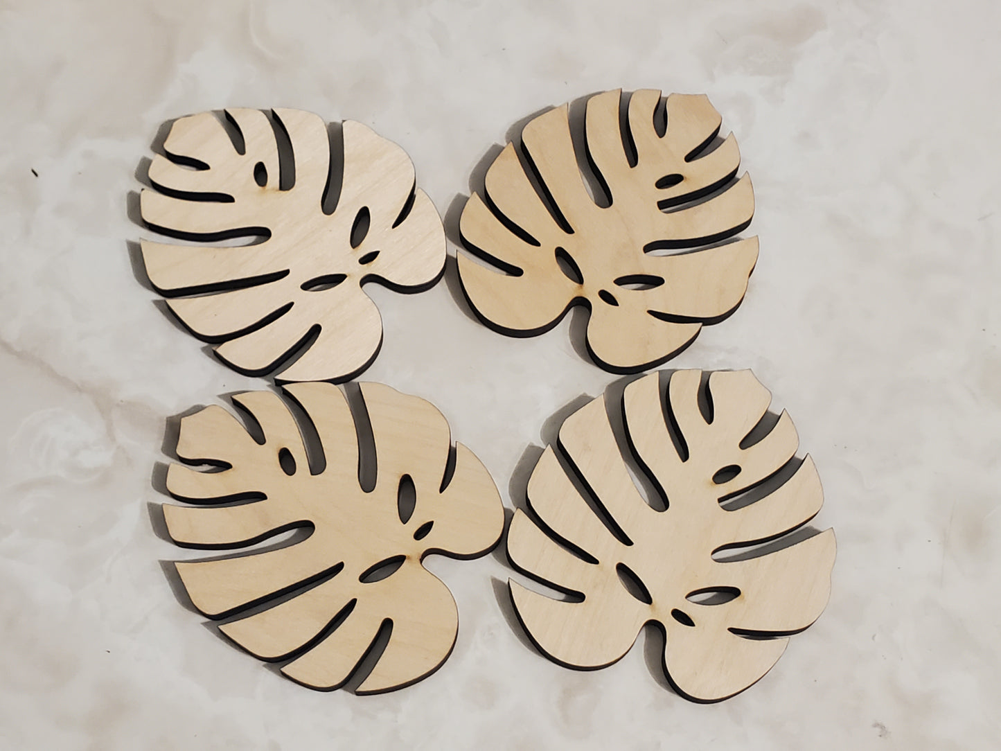 Monstera Leaf coasters